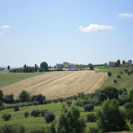 Отель Palazzo - Nuova Gestione