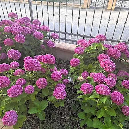 Palazzo (adults Only) מלון רקאנטי