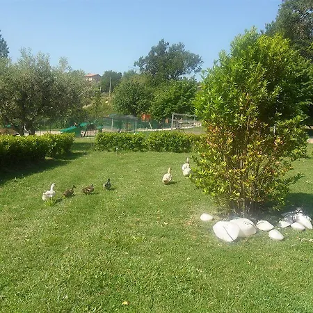Hotel Palazzo Bello 3* Recanati