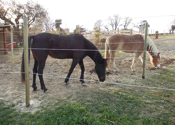 Palazzo (adults Only)